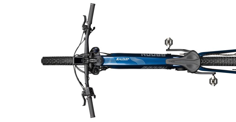 Radon Jealous Hybrid 9.0 750 – Bild 2