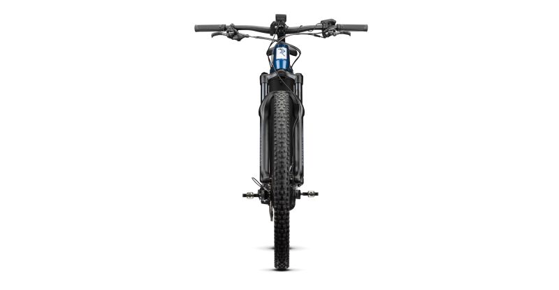 Radon Jealous Hybrid 9.0 750 – Bild 3